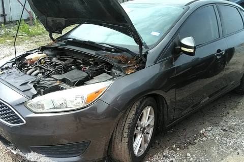 Photo of 2015 Ford Focus