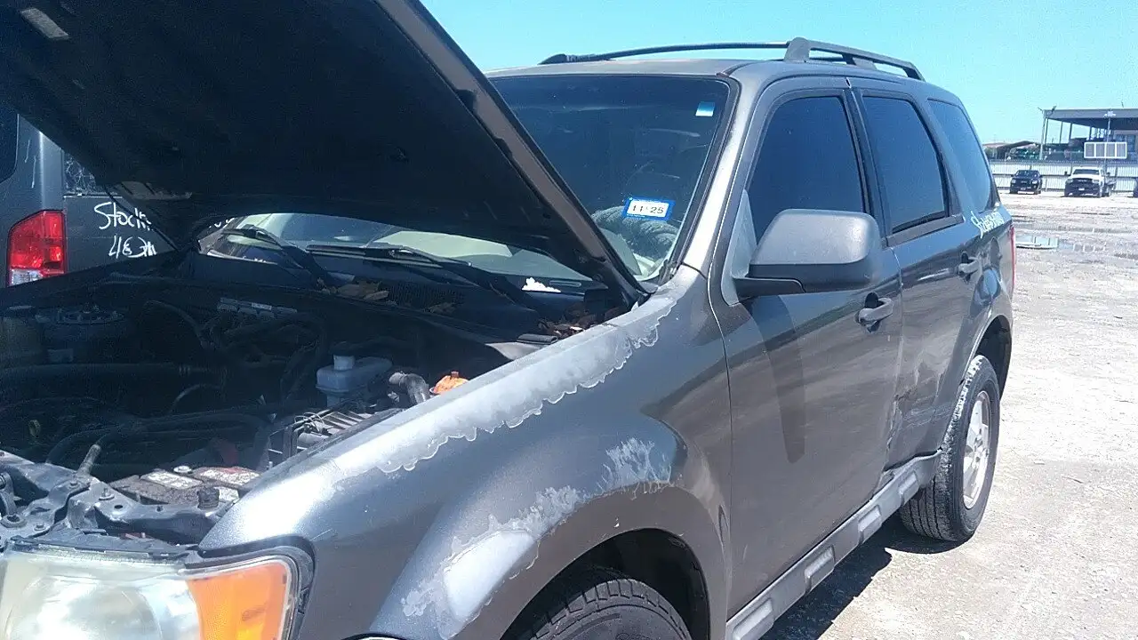 Photo of 2009 Ford Escape