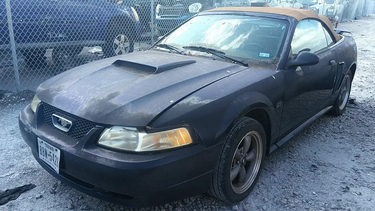 Photo of 2001 Ford Mustang
