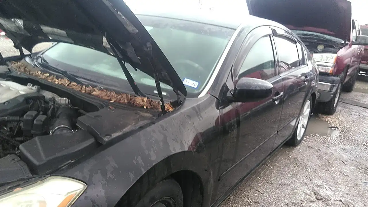 Photo of 2007 Nissan Maxima