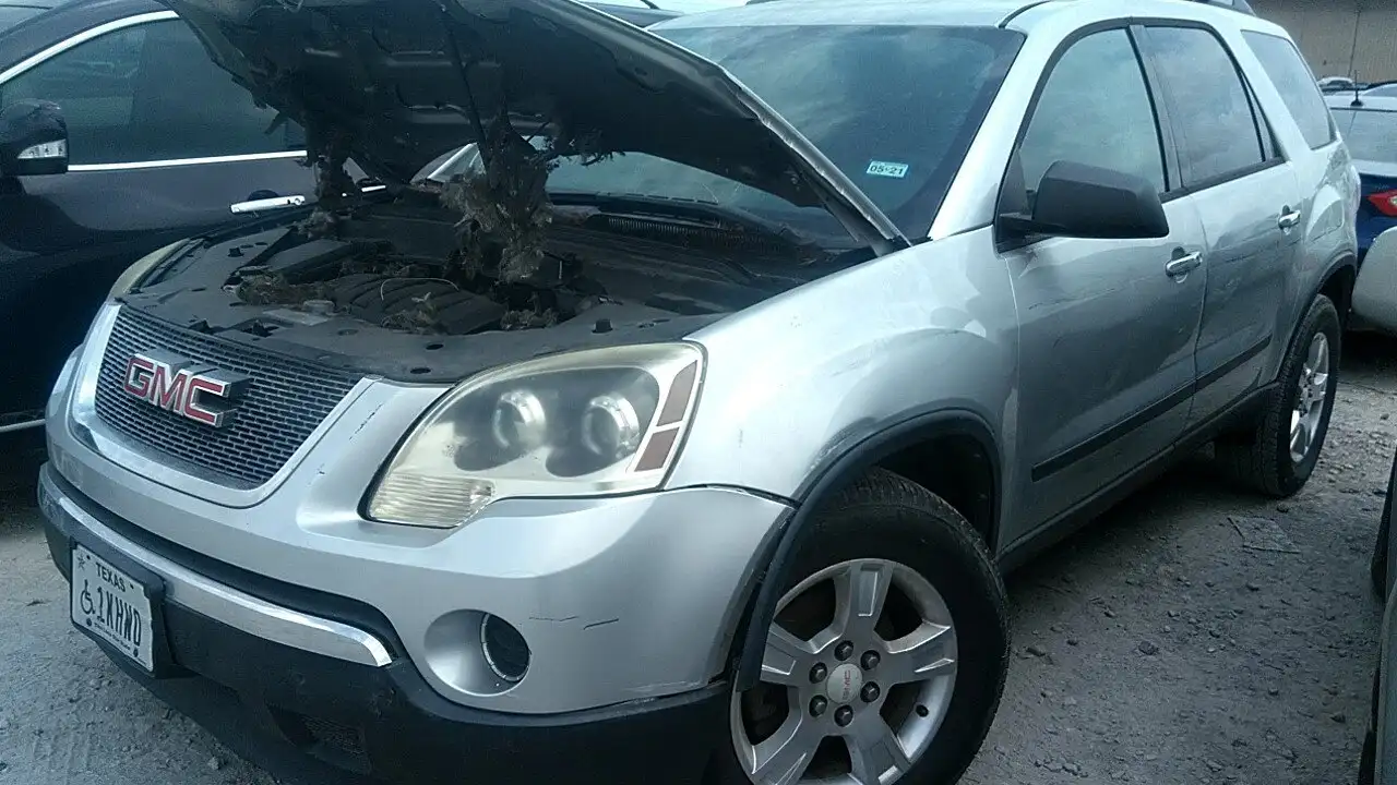 Photo of 2011 Gmc Acadia