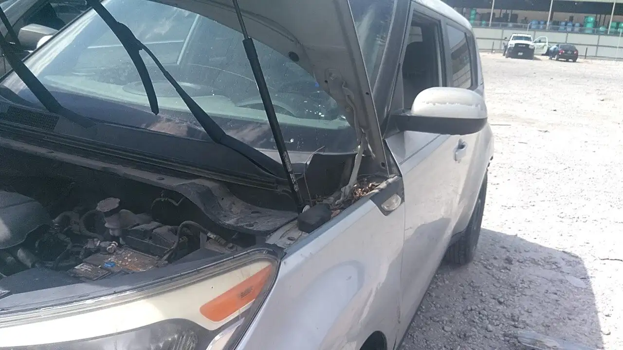 Photo of 2014 Kia Soul