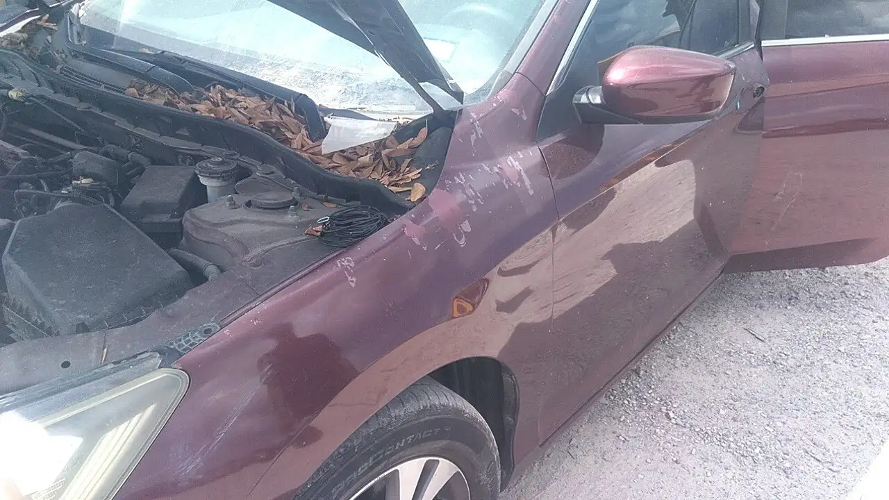 Photo of 2014 Honda Accord