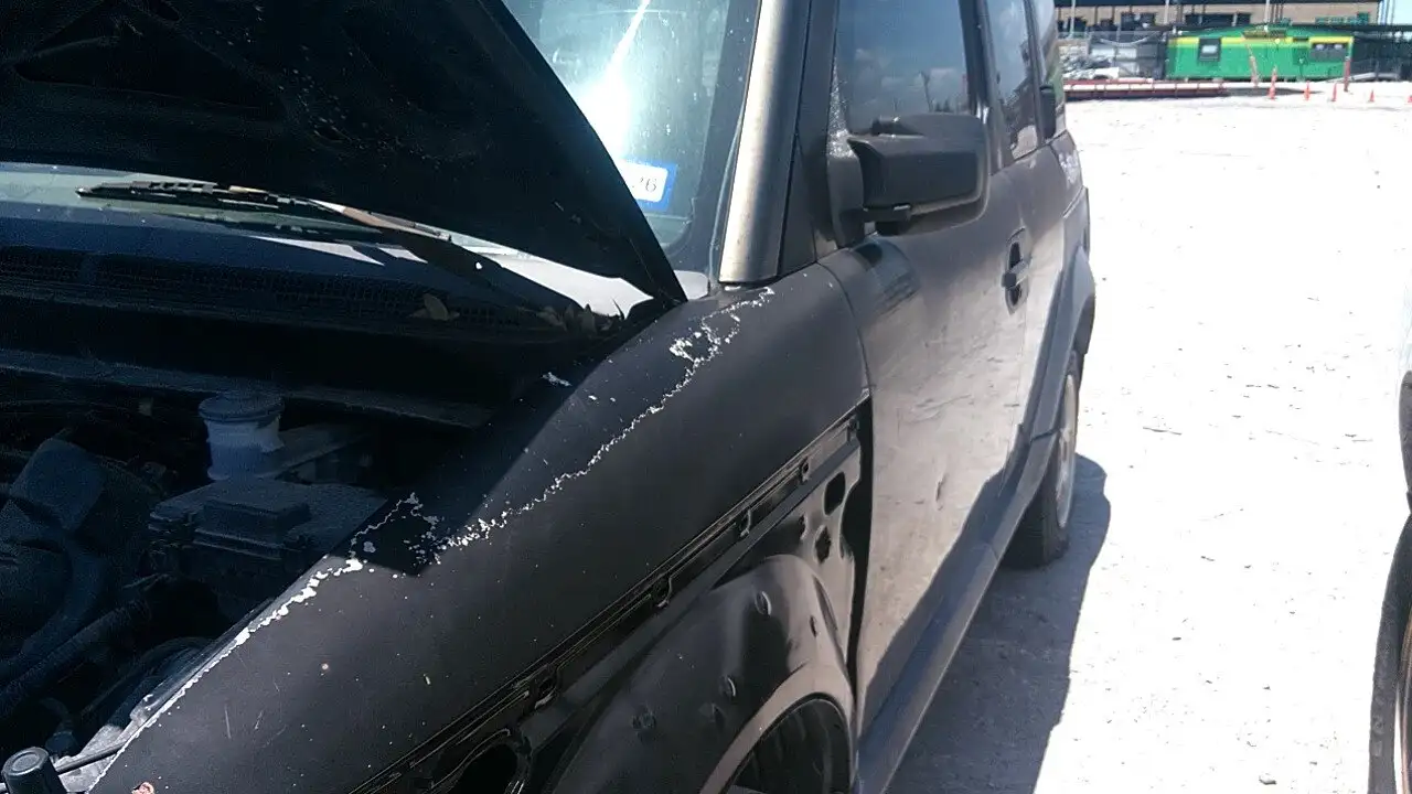 Photo of 2005 Honda Element