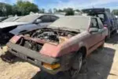 Photo of 1984 Nissan Pulsar