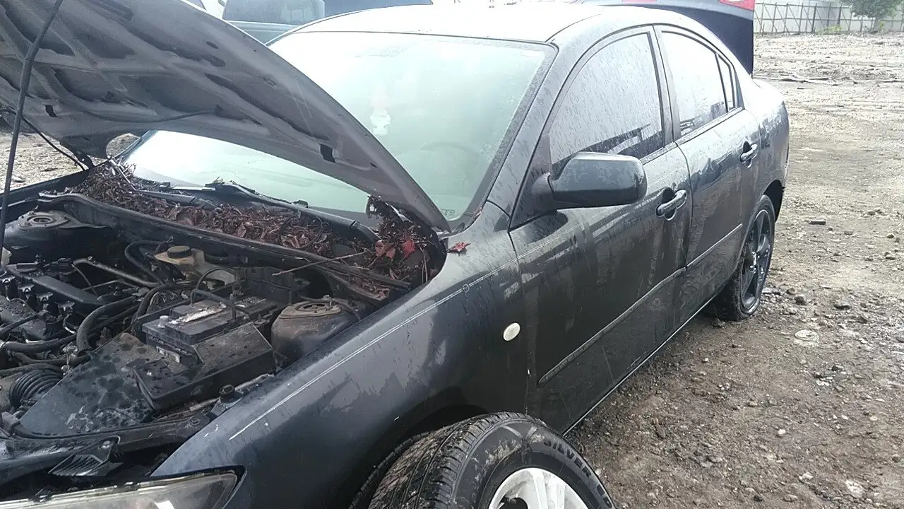 Photo of 2005 Mazda 3
