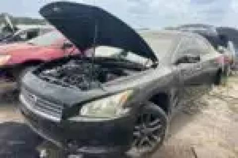 Photo of 2010 Nissan Maxima