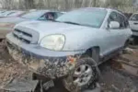 Photo of 2006 Hyundai Santa Fe