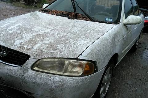 Photo of 2001 Nissan Sentra