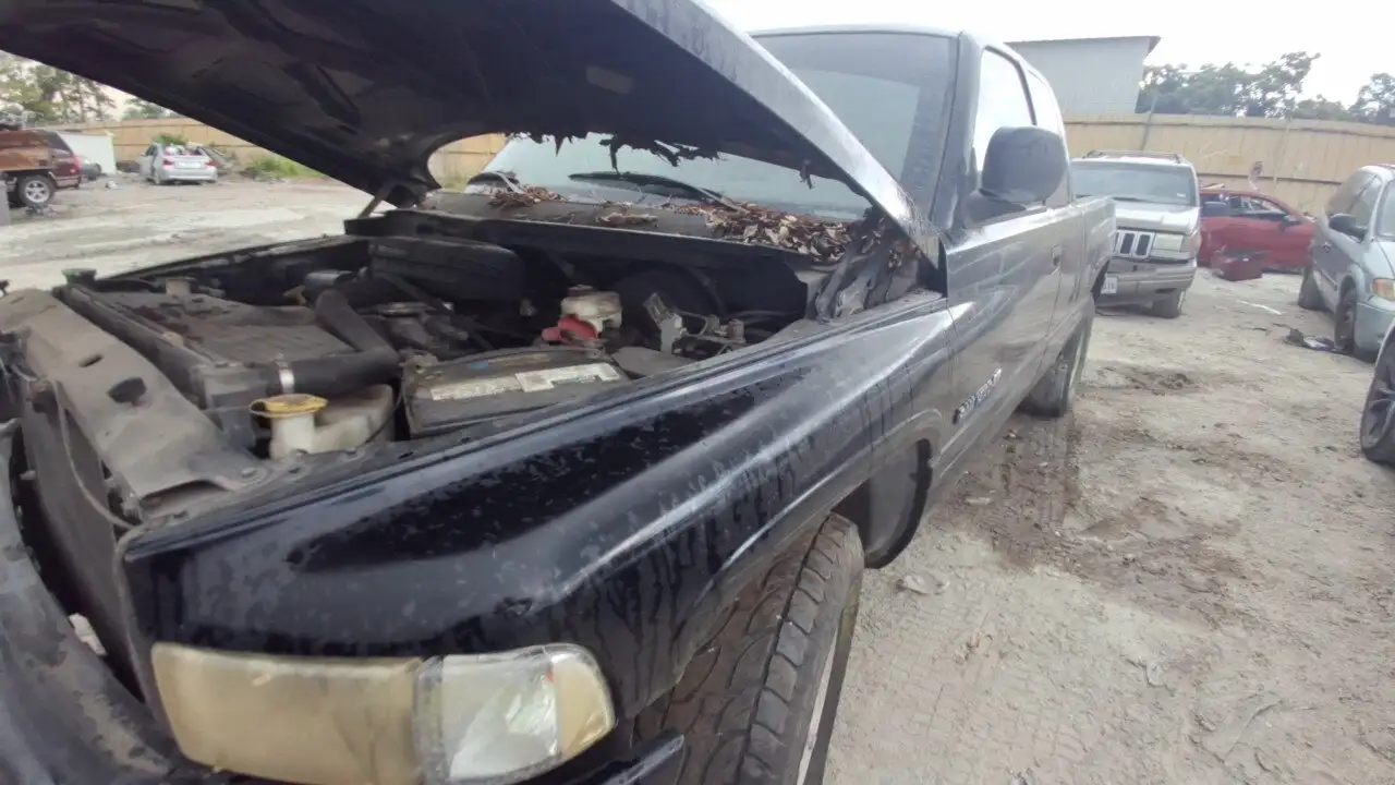 Photo of 2001 Dodge Ram 1500