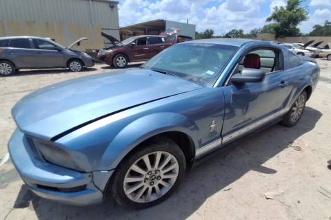 Photo of 2006 Ford Mustang