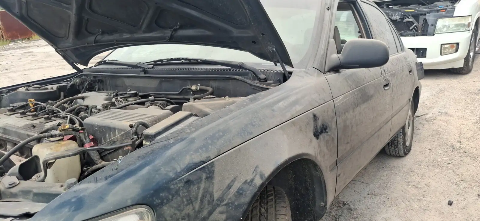 Photo of 1997 Toyota Corolla