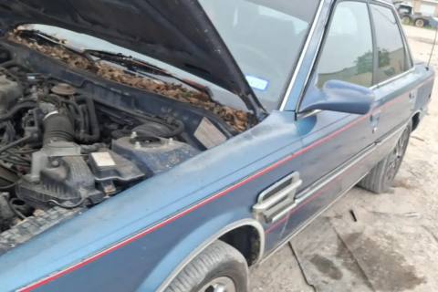 Photo of 1991 Toyota Camry