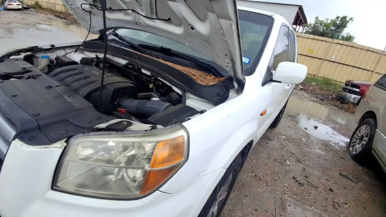 Photo of 2007 Honda Pilot