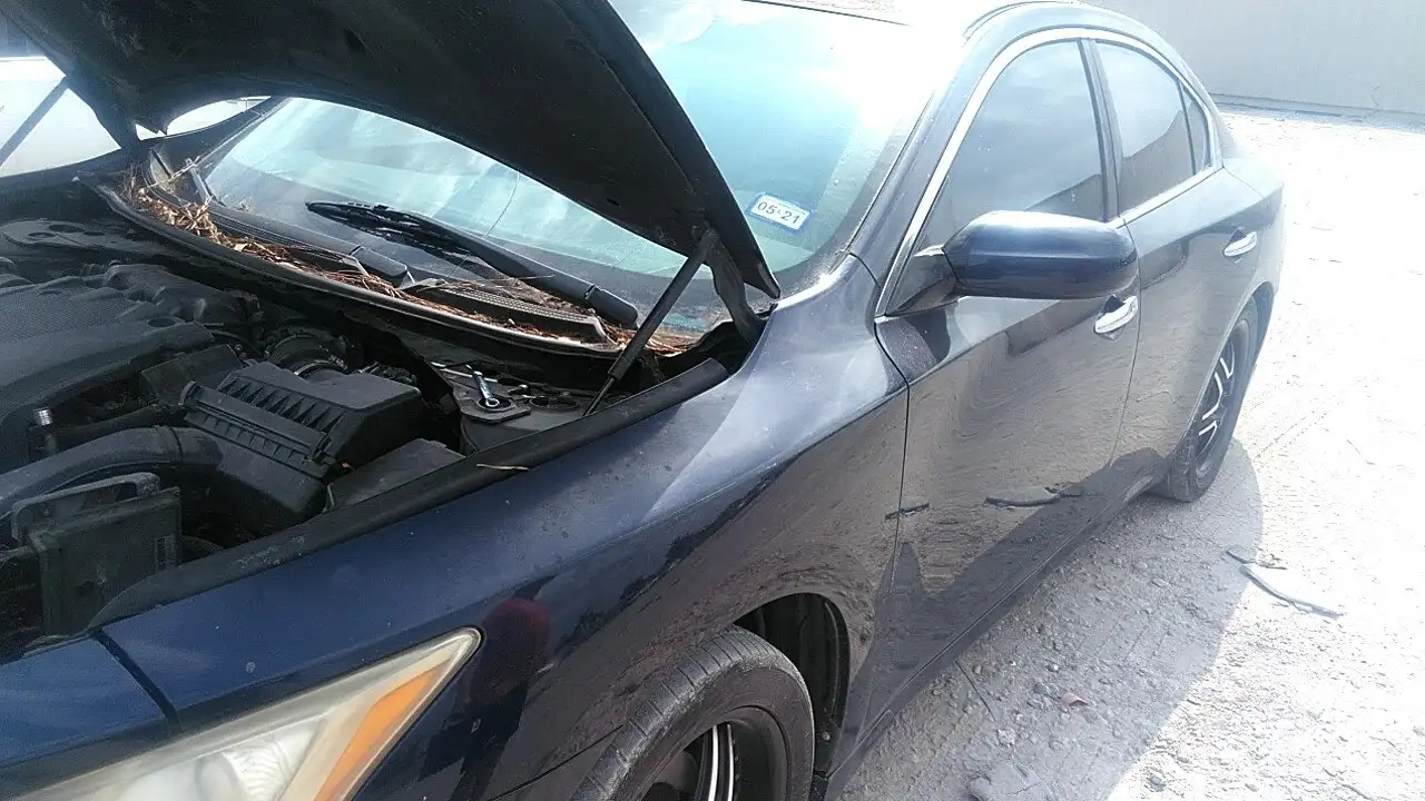 Photo of 2010 Nissan Maxima