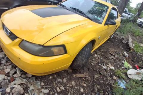 Photo of 2004 Ford Mustang