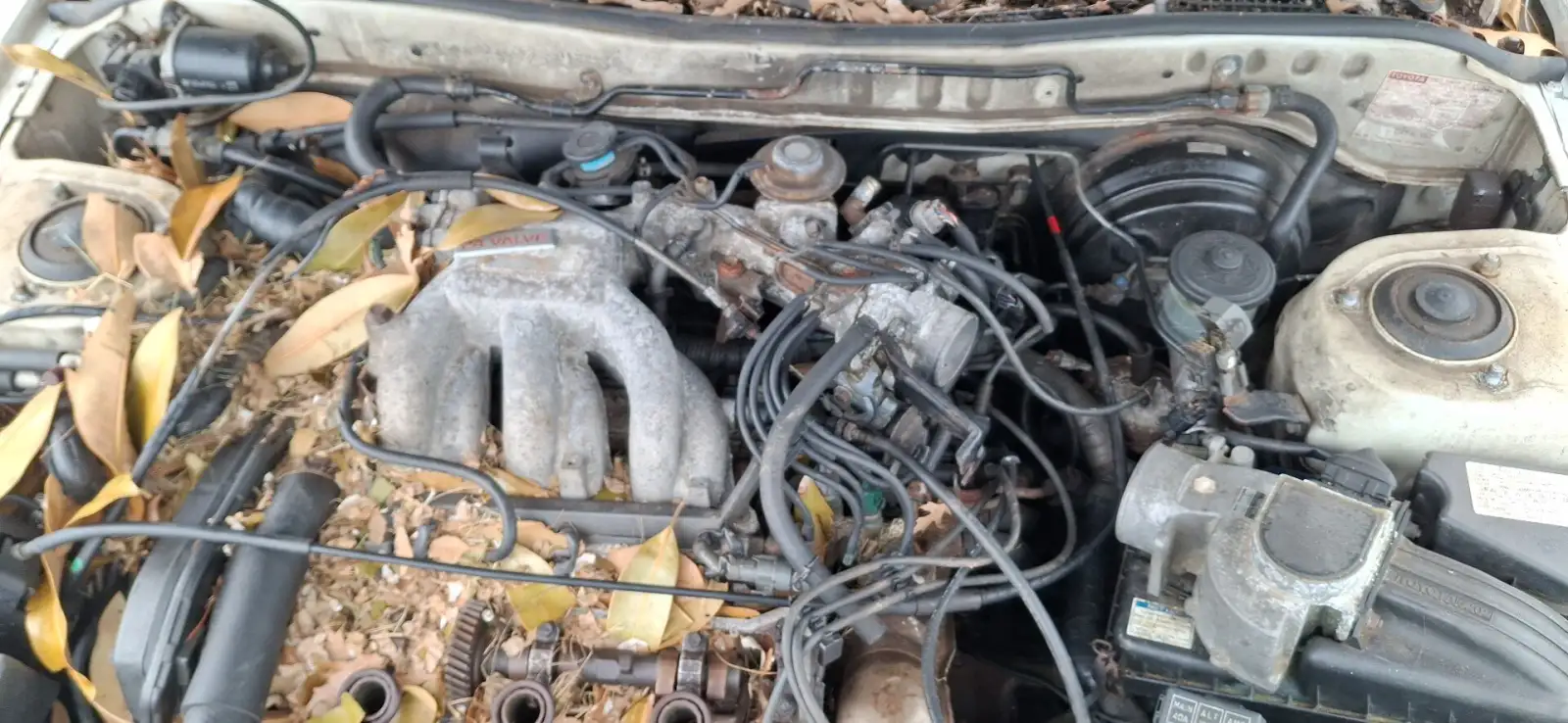Photo of 1991 Lexus Es250