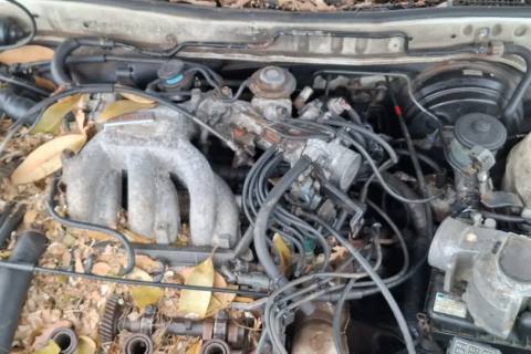 Photo of 1991 Lexus Es250
