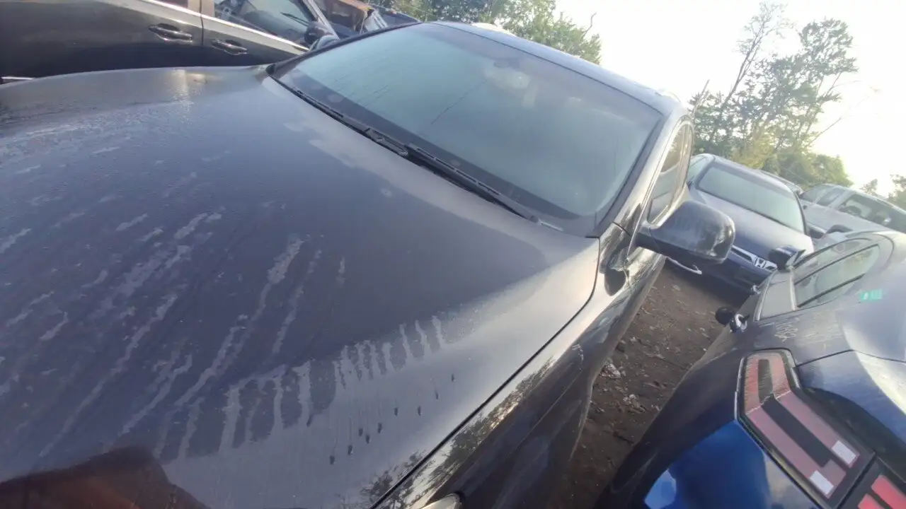 Photo of 2008 Audi Q7