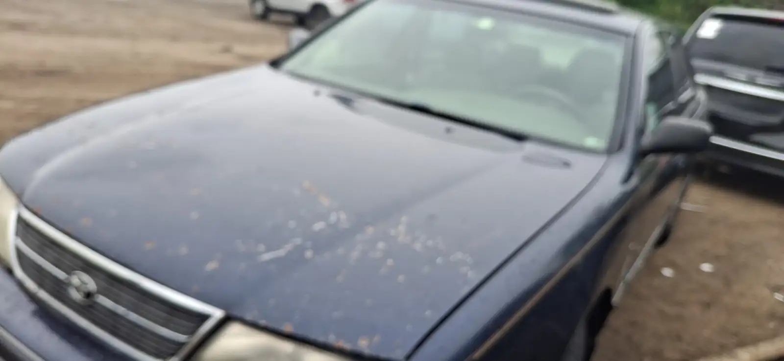 Photo of 1999 Toyota Avalon