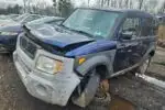 Photo of 2003 Honda Element