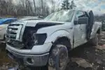 Photo of 2012 Ford F-150