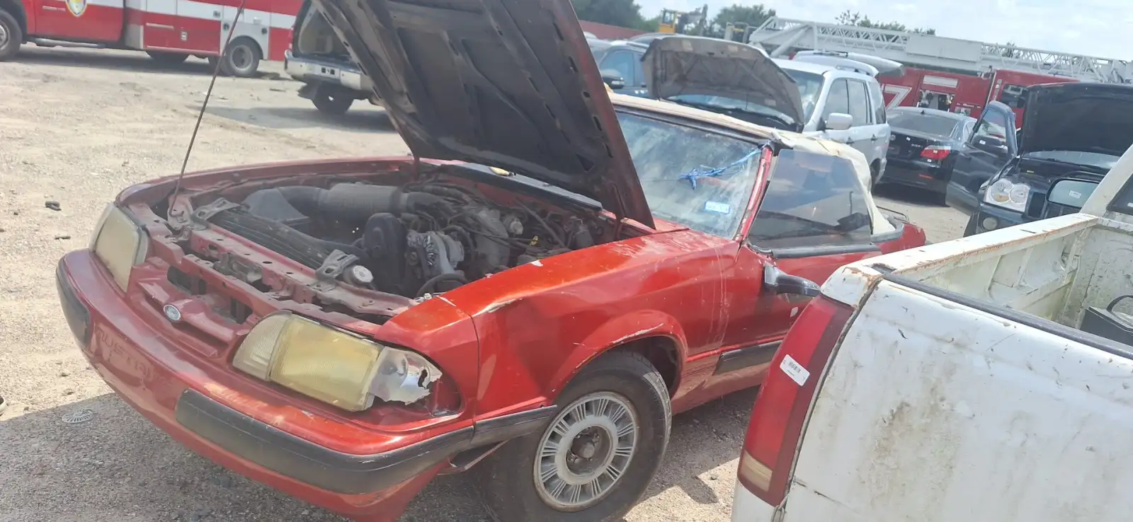 Photo of 1989 Ford Mustang