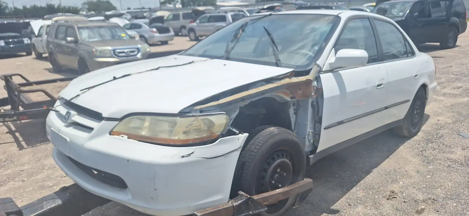 Photo of 1998 Honda Accord