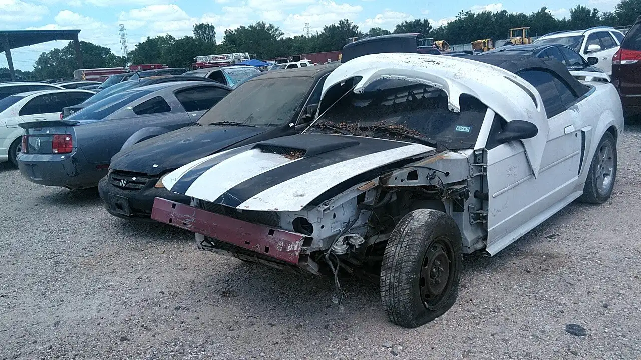 Photo of 2003 Ford Mustang