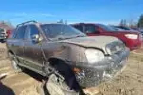 Photo of 2004 Hyundai Santa Fe