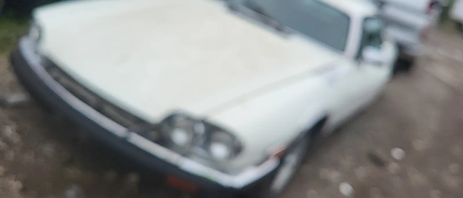 Photo of 1985 Jaguar Xjs