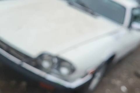 Photo of 1985 Jaguar Xjs