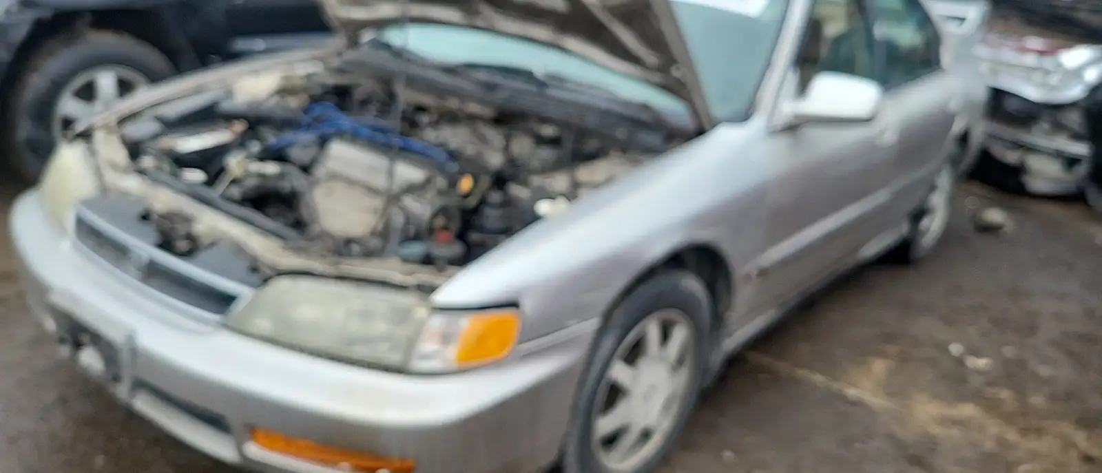 Photo of 1997 Honda Accord