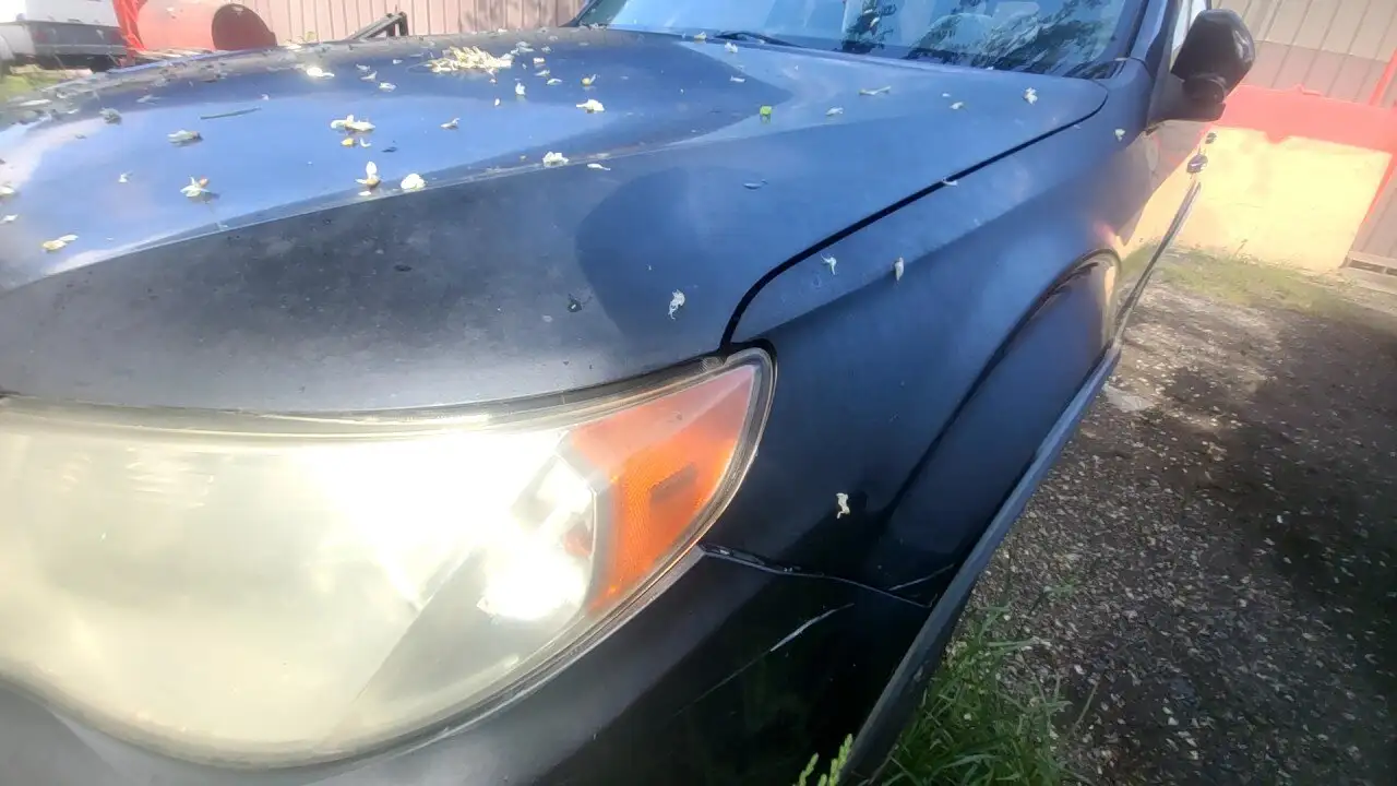 Photo of 2009 Subaru Forester