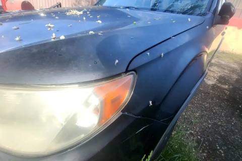 Photo of 2009 Subaru Forester