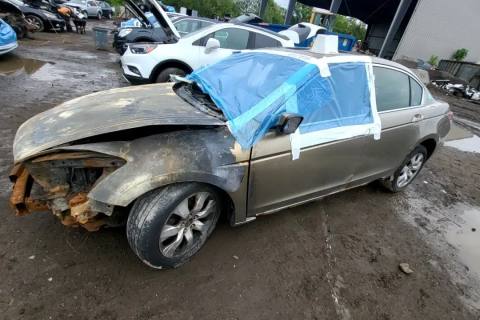 Photo of 2010 Honda Accord