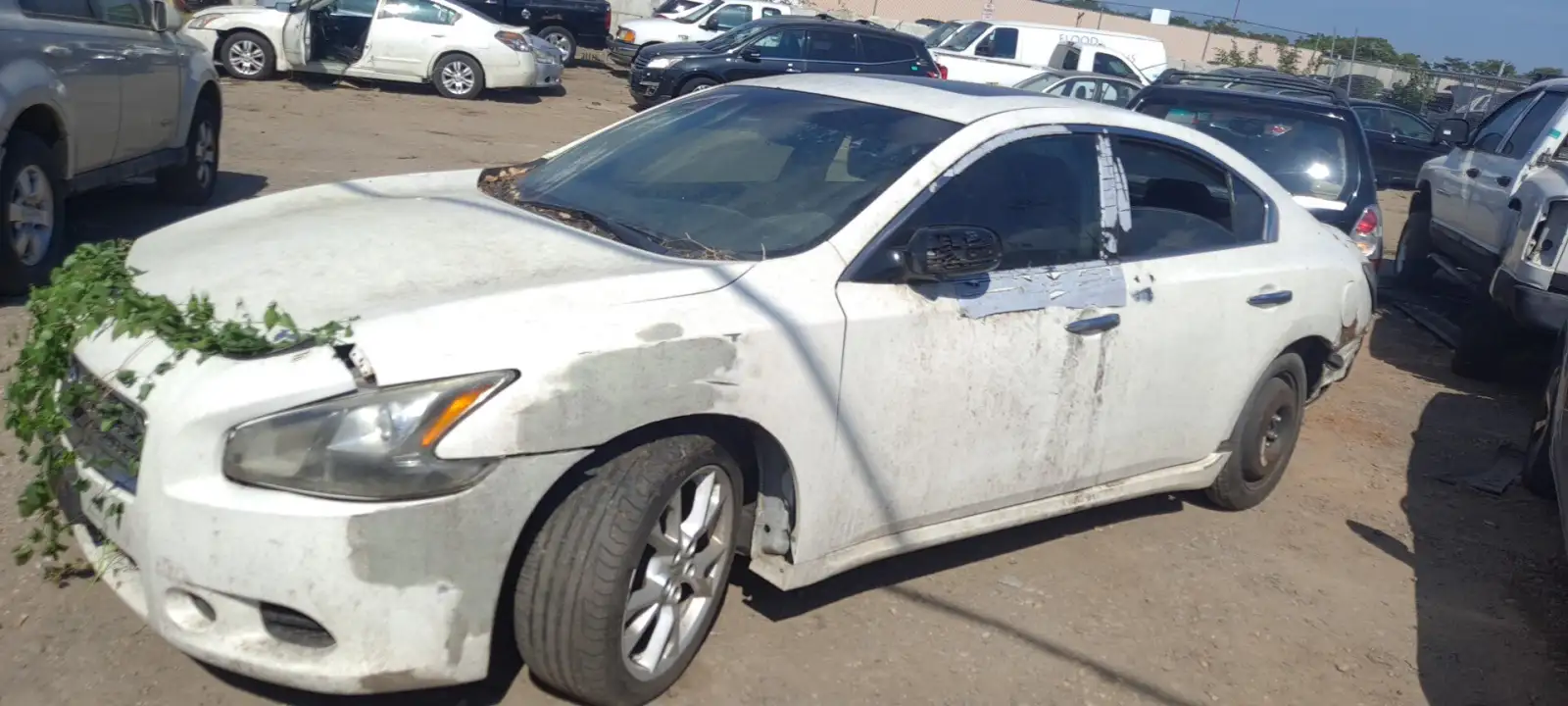 Photo of 2012 Nissan Maxima
