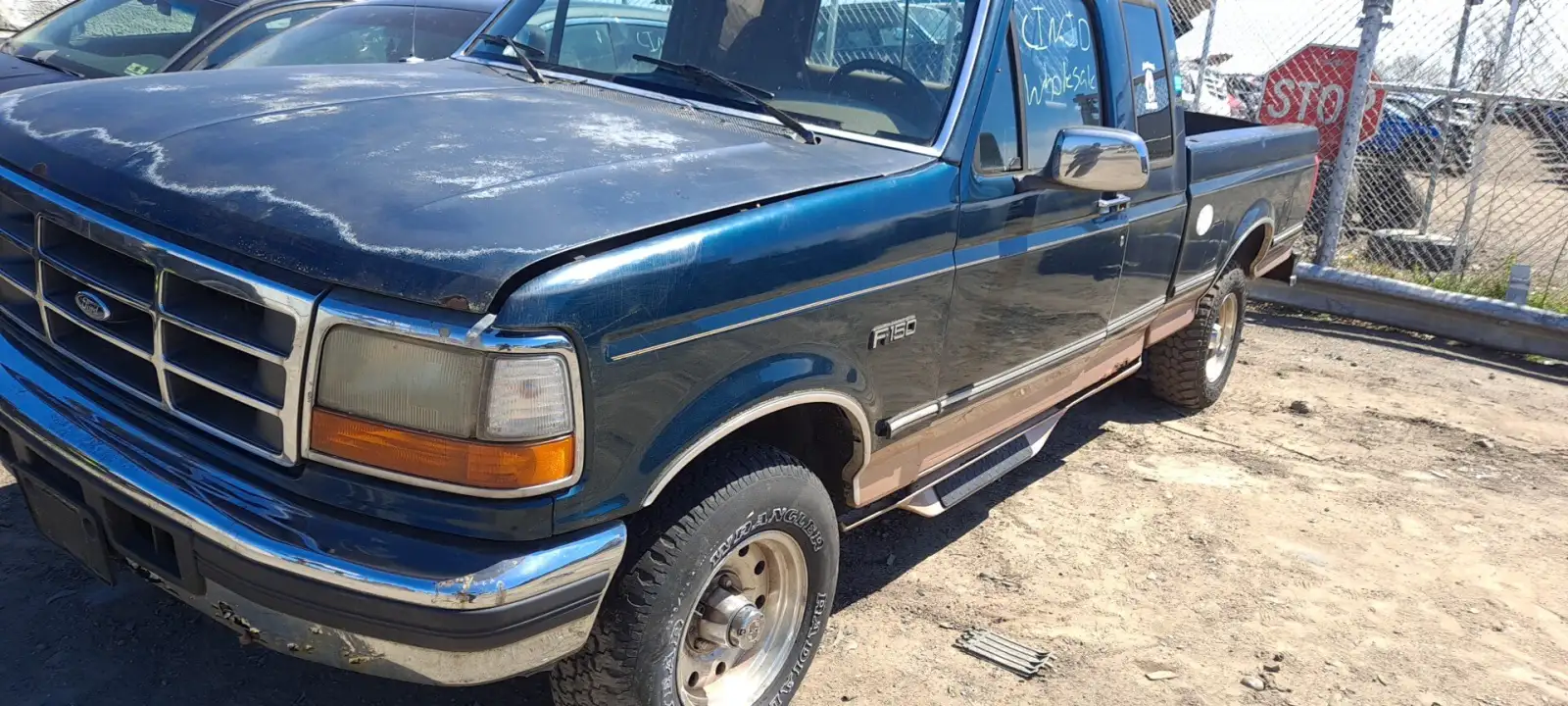 Photo of 1995 Ford F-150