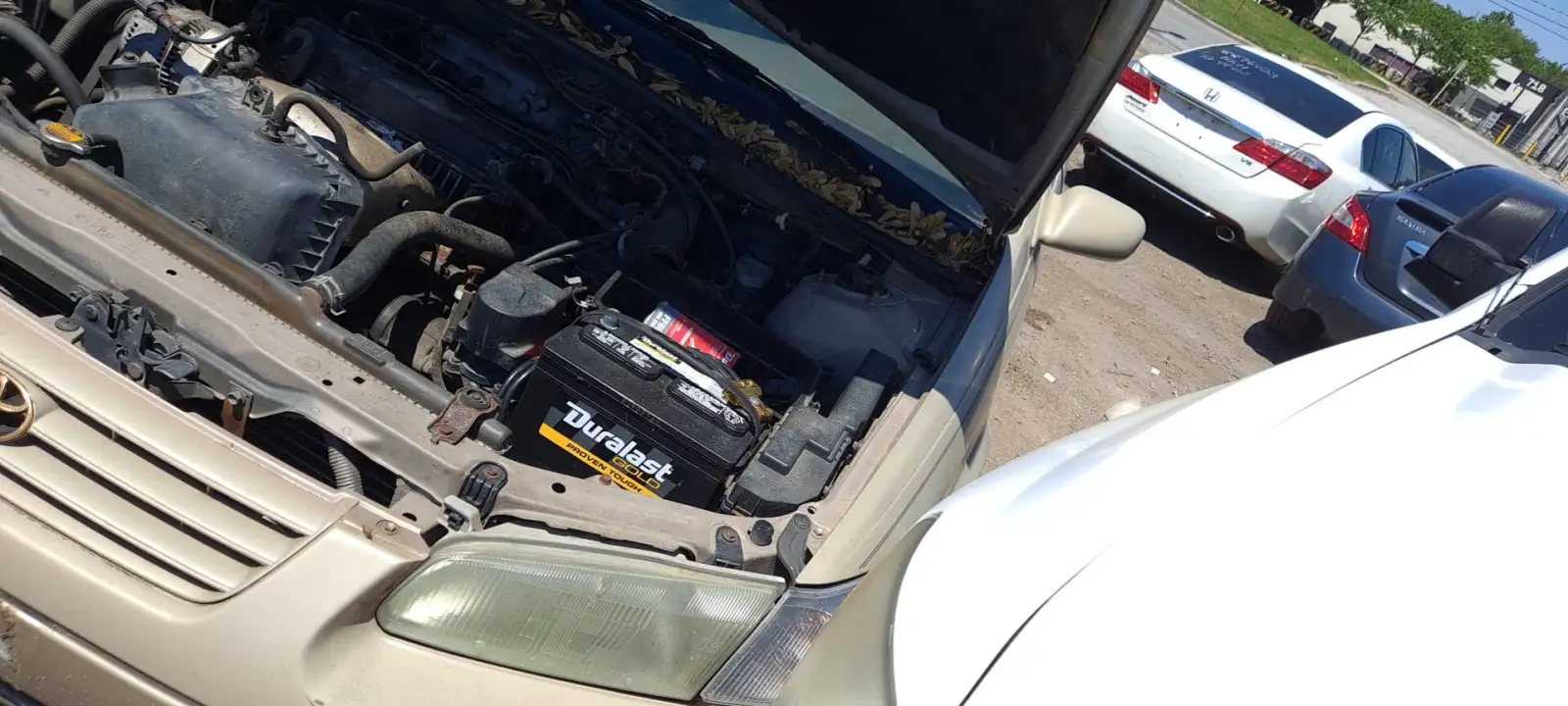 Photo of 1997 Toyota Camry