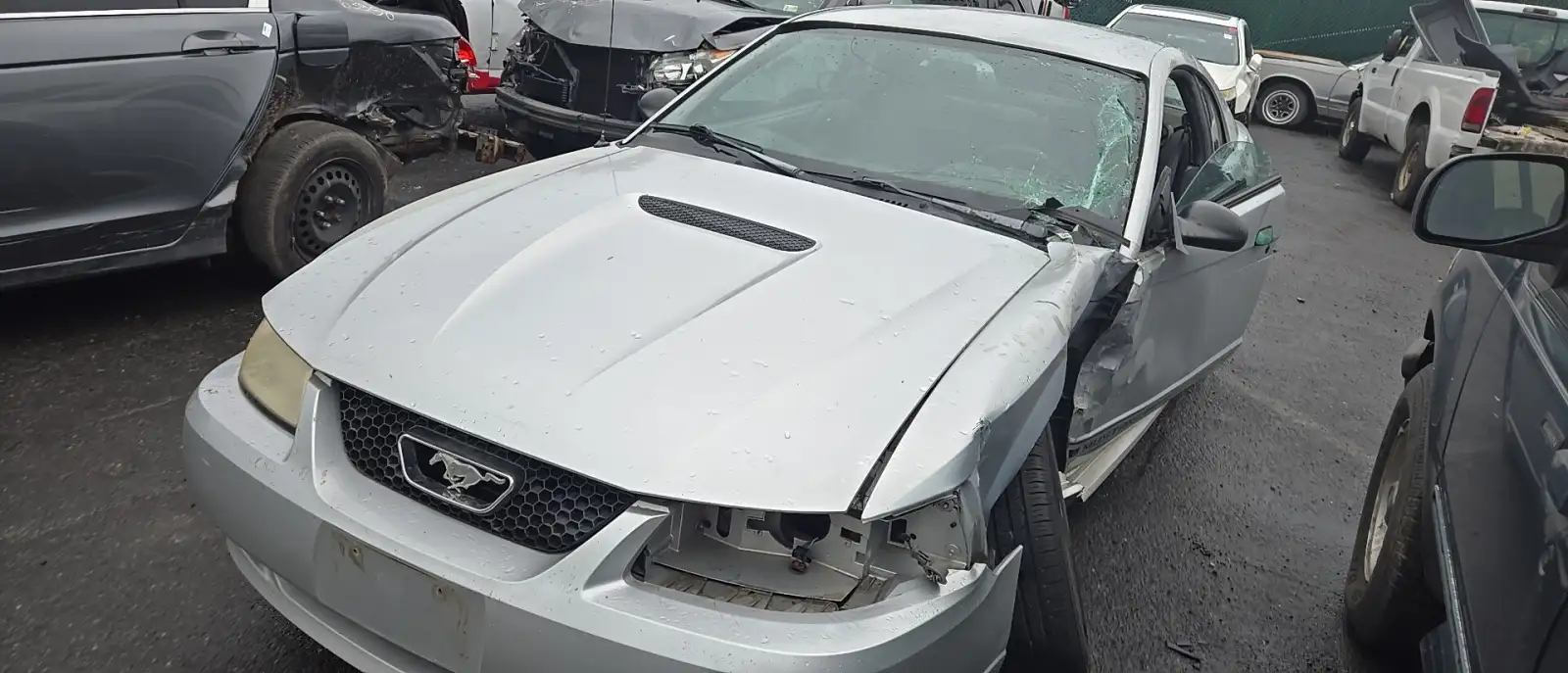 Photo of 1999 Ford Mustang