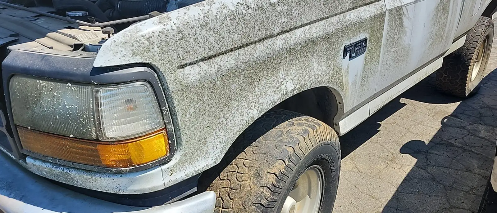 Photo of 1996 Ford F-150