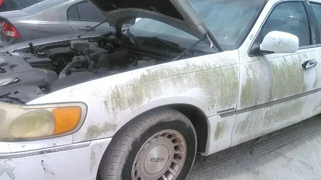 Photo of 1998 Lincoln Town Car