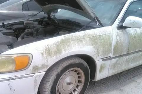 Photo of 1998 Lincoln Town Car