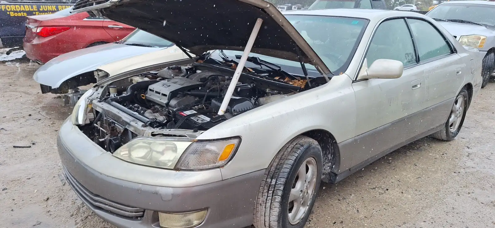 Photo of 1998 Lexus Es300