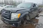 Photo of 2010 Ford F-150
