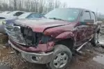 Photo of 2010 Ford F-150