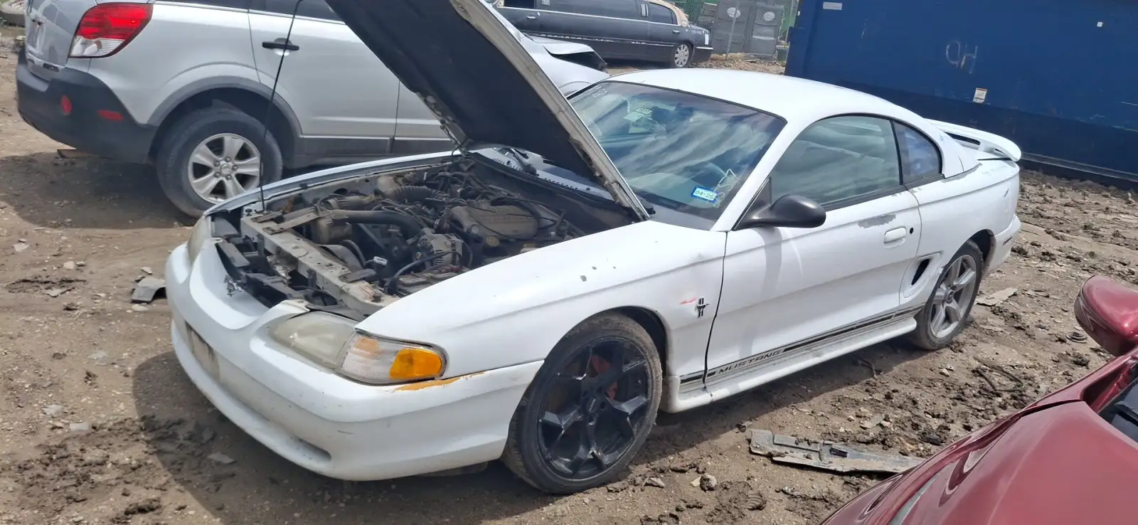 Photo of 1998 Ford Mustang
