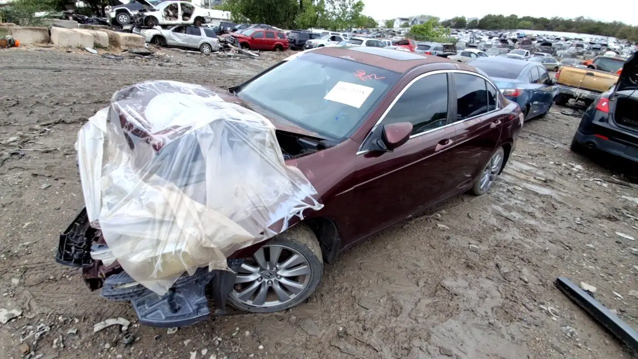 Photo of 2011 Honda Accord