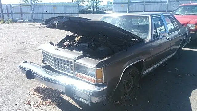 Photo of 1986 Ford Ltd