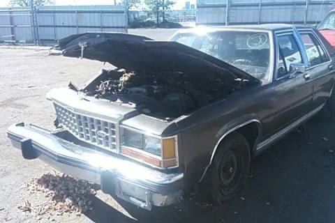 Photo of 1986 Ford Ltd